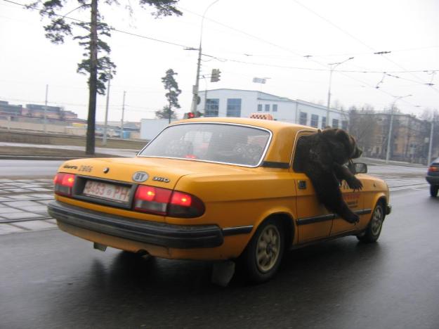 taxi-russia