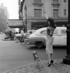 woman-flagging-taxi-cab-with-dog-nbc