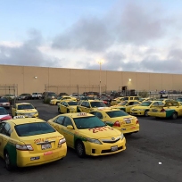 Bayview - The National taxi lot at dawn